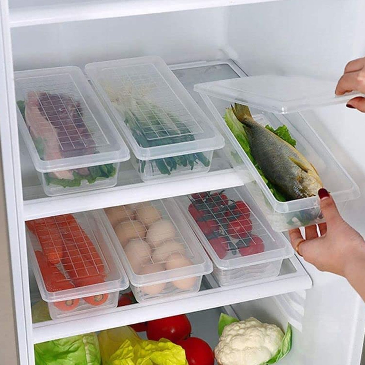 5792 FOOD STORAGE CONTAINER WITH REMOVABLE DRAIN PLATE AND LID 1500 ML Vegetables & Fruits Freezer Storage Container for Kitchen (PACK OF 6PC 1500ML) 5792 FOOD STORAGE CONTAINER WITH REMOVABLE DRAIN PLATE AND LID 1500 ML Vegetables & Fruits Freezer Storage Container for Kitchen (PACK OF 6PC 1500ML)